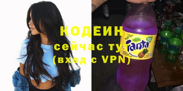 прущие грибы Вяземский