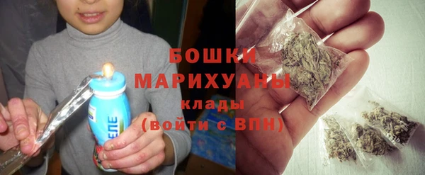 прущие грибы Вяземский