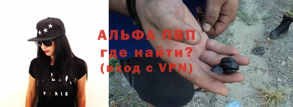 прущие грибы Вяземский