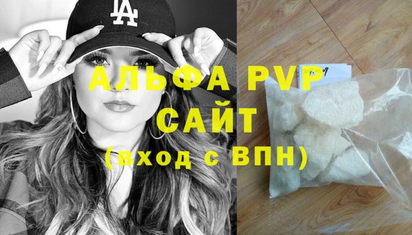прущие грибы Вяземский
