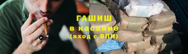 прущие грибы Вяземский