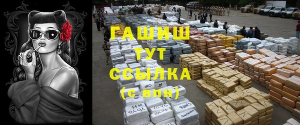 прущие грибы Вяземский