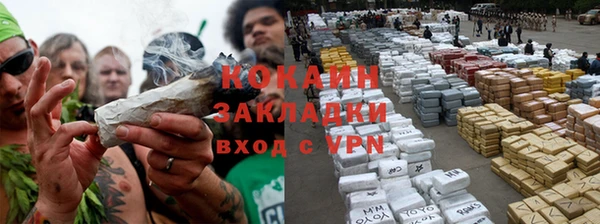 прущие грибы Вяземский